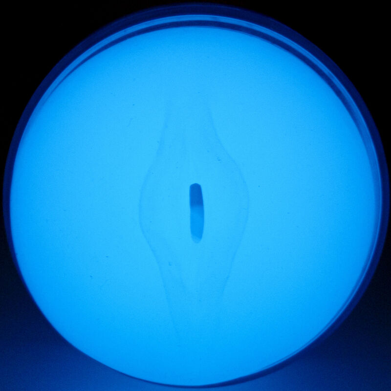 Kiiroo FeelGlow Stroker masturbatore fosforescente