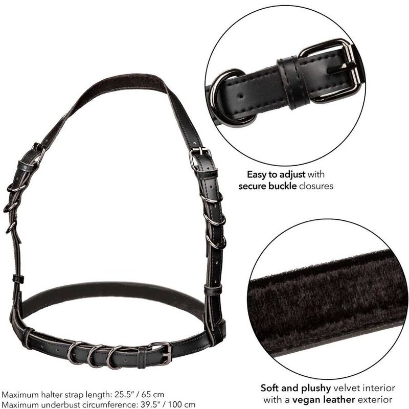 CalExotics Euphoria Halter Harness imbracatura nera regolabile