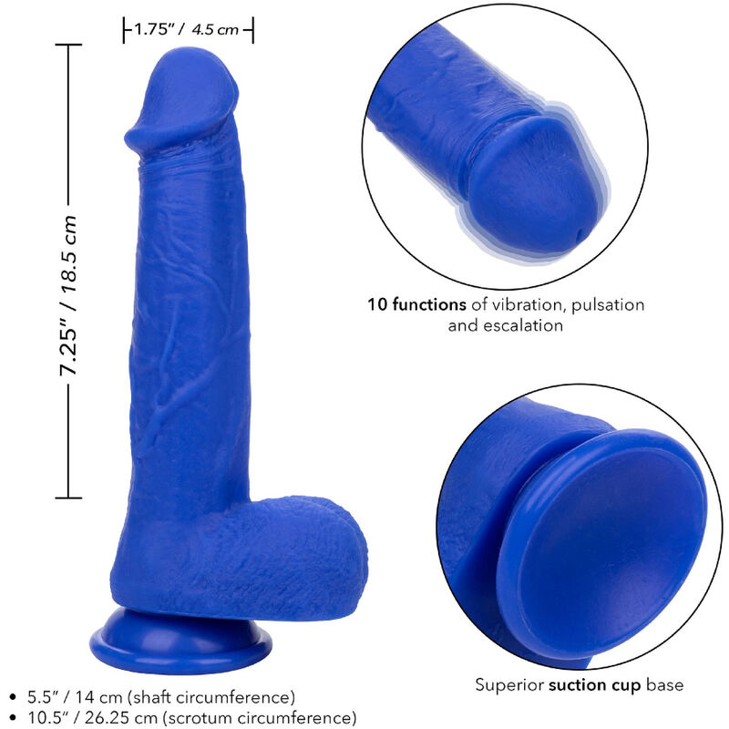 CalExotics Captain Admiral vibratore realistico blu