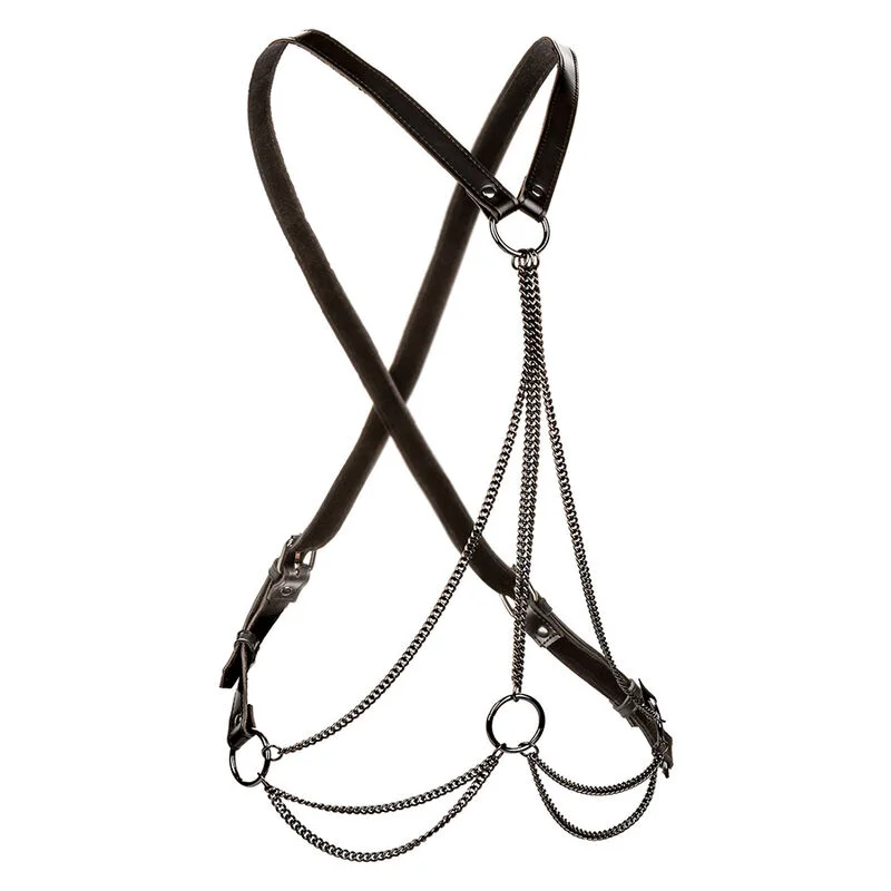CalExotics Euphoria Multichain harness plus size